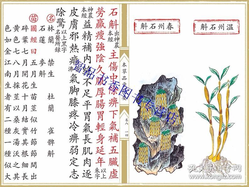 《御制本草品汇精要》 明代彩绘药学巨著的影印重生